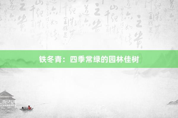 铁冬青:四季常绿的园林佳树