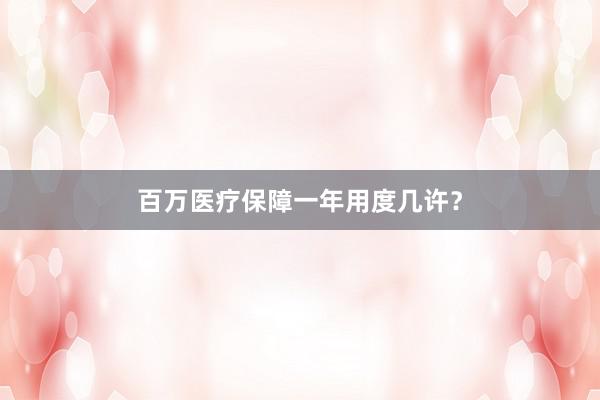 百万医疗保障一年用度几许？