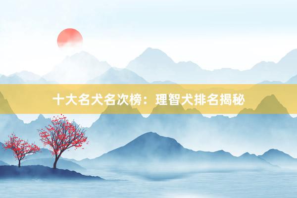 十大名犬名次榜：理智犬排名揭秘