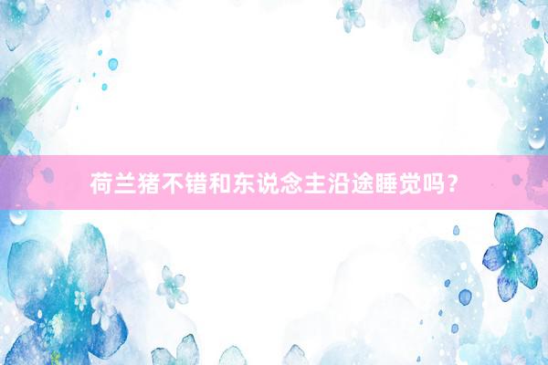 荷兰猪不错和东说念主沿途睡觉吗?