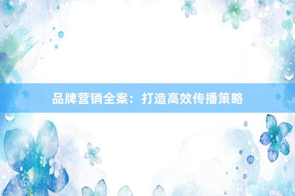 品牌营销全案：打造高效传播策略