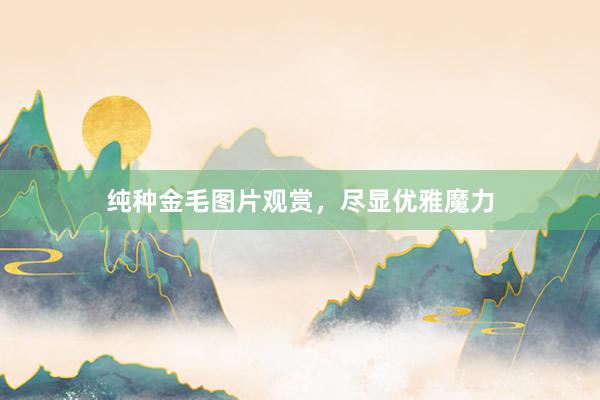 纯种金毛图片观赏，尽显优雅魔力